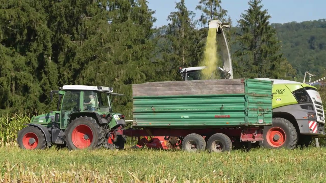 Maishäckseln Kleinhöchberg am 7.9.2024