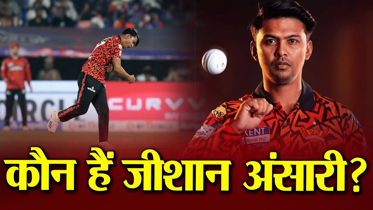 कौन हैं जीशान अंसारी?