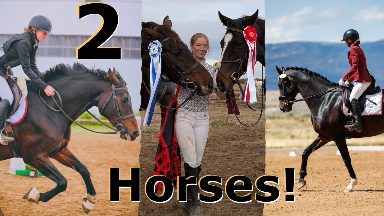 Last Eventing Show with 2 Horses! ║ Cav ║ Totti ║ Horse Show ║ Eventing ║ Horse Show ║