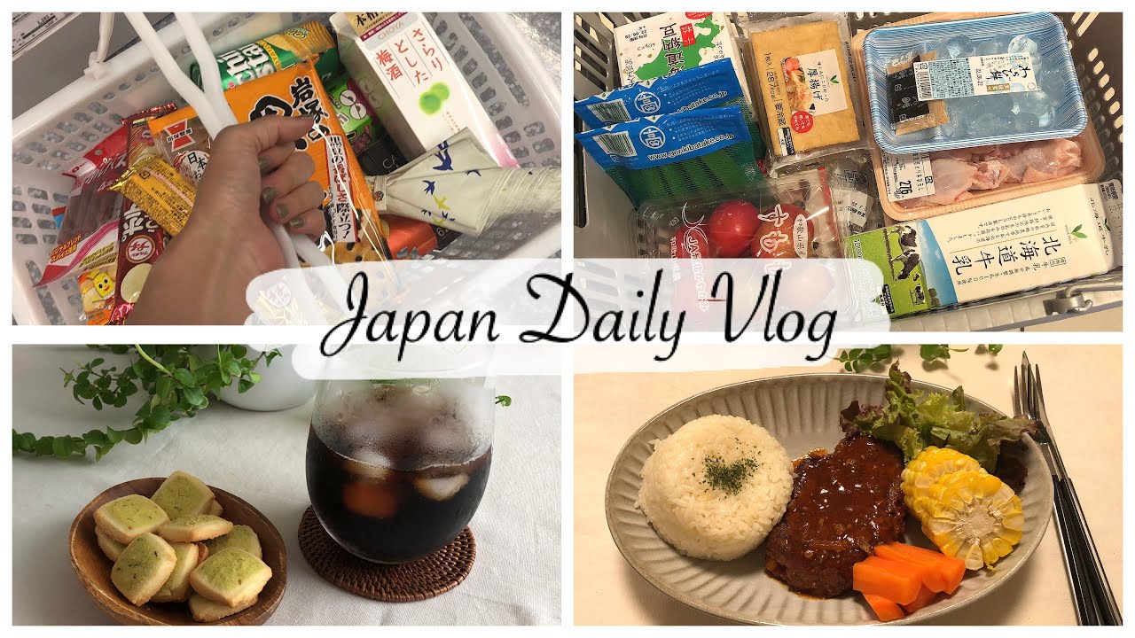 vlog | New Sopping Experience at an Electrical Store, Usual Grocery Shopping, Hamburger Steak Dinner