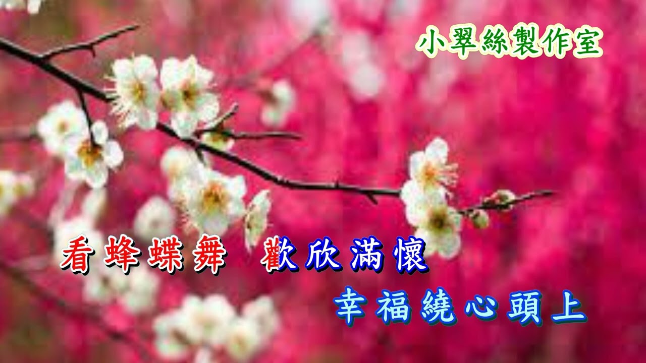春花萬里香 - 卡拉OK純音樂