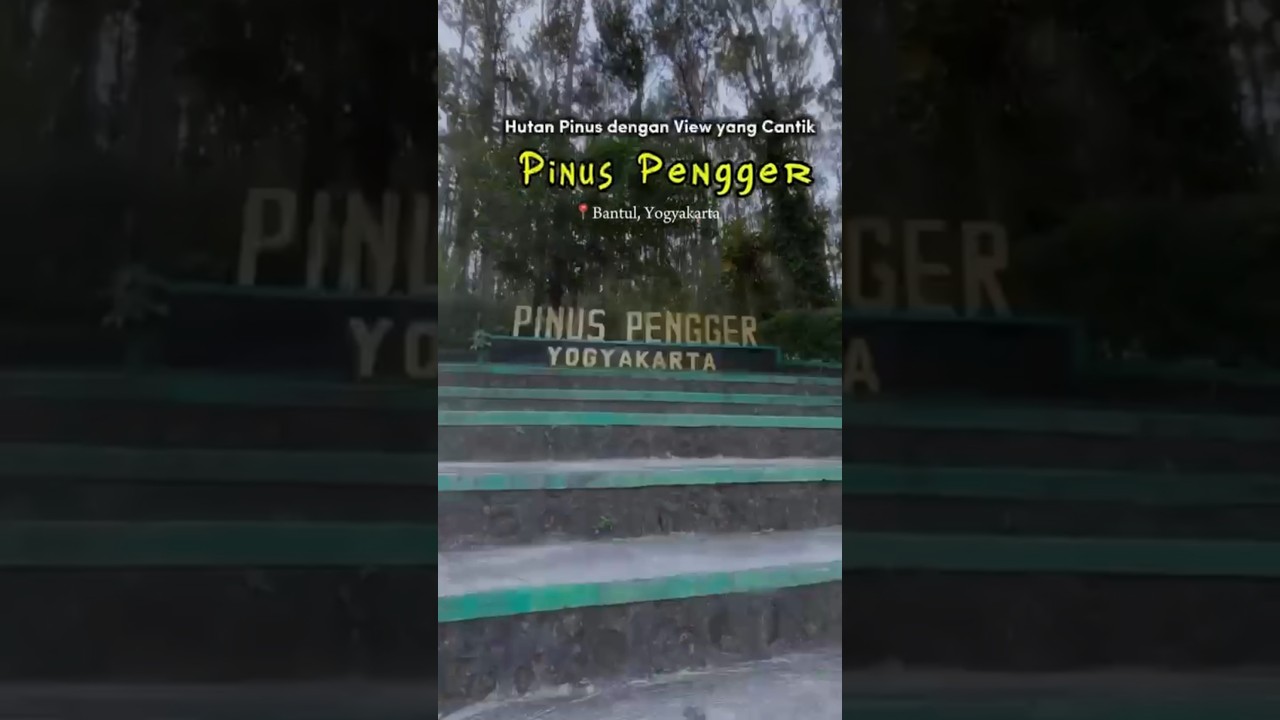 Keindahan Wisata Hutan Pinus Pengger, Bantul Yogyakarta 💕 Wisata Jogya