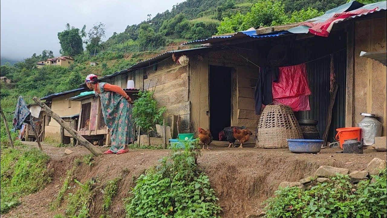 Real Nepali Mountain Village Life During the Rain | Peaceful Rural Lifestyle & Organic Food Cooking