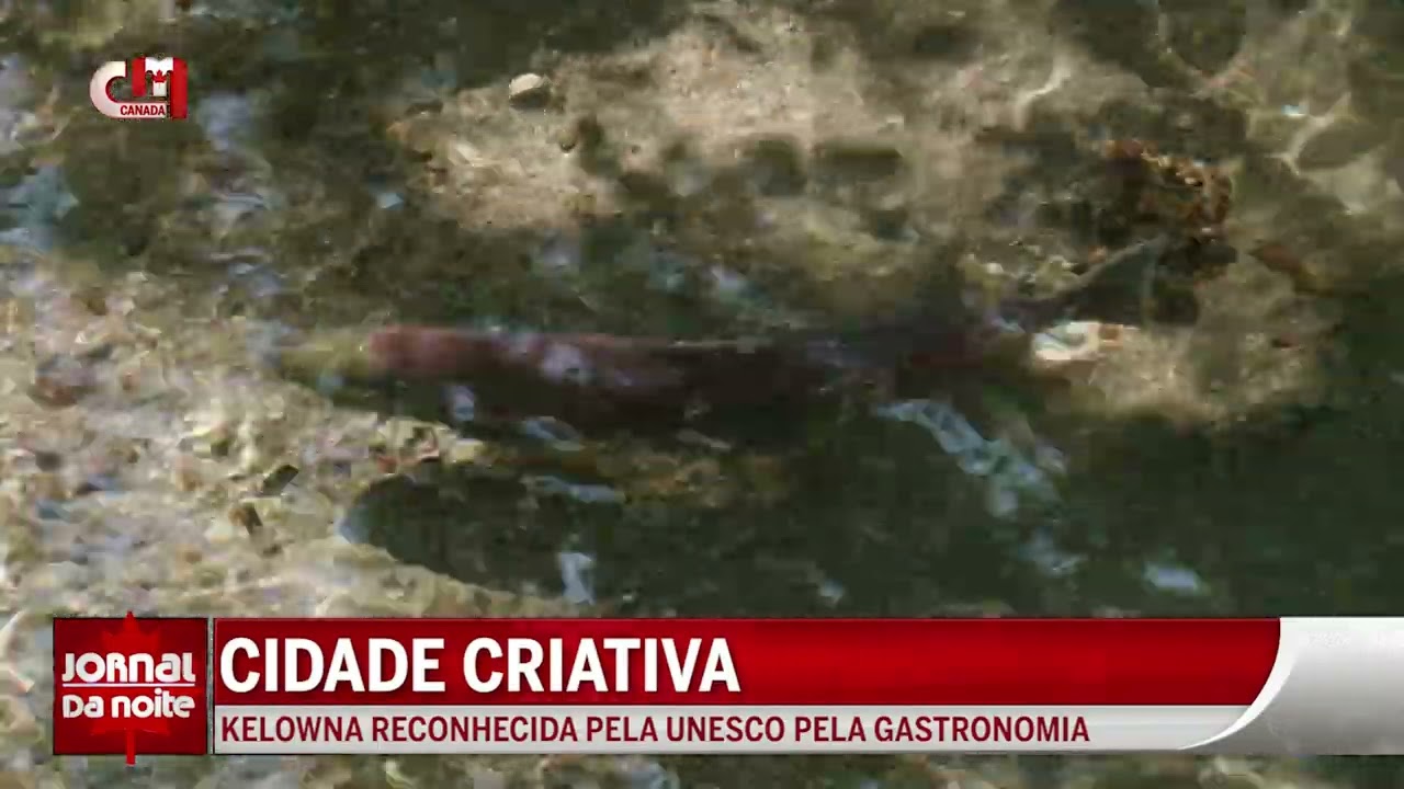Kelowna reconhecida pela UNESCO como Cidade Criativa da Gastronomia