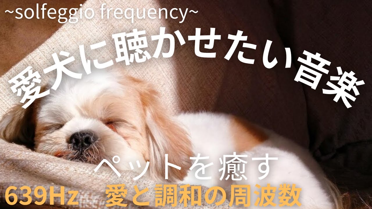 【愛犬に聴かせたいBGM】　ペットに癒しを　心と体を癒し落ち着く周波数　ソルフェジオ周波数の魔法　639Hz　リラックスできる音楽　自律神経を整え、心が落ち着く　ヒーリング　癒し　安心　睡眠　安らぎ