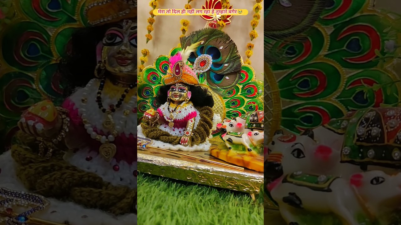 Radhe Radhe !🥰 #ladugopal #radhakrishna #seva #laduu #shorts #ladugopalstatus #viral  #krisha