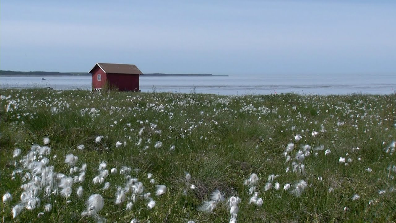 Frontiers 157: Bristol Bay Fishing 2018 - A Wild Ride