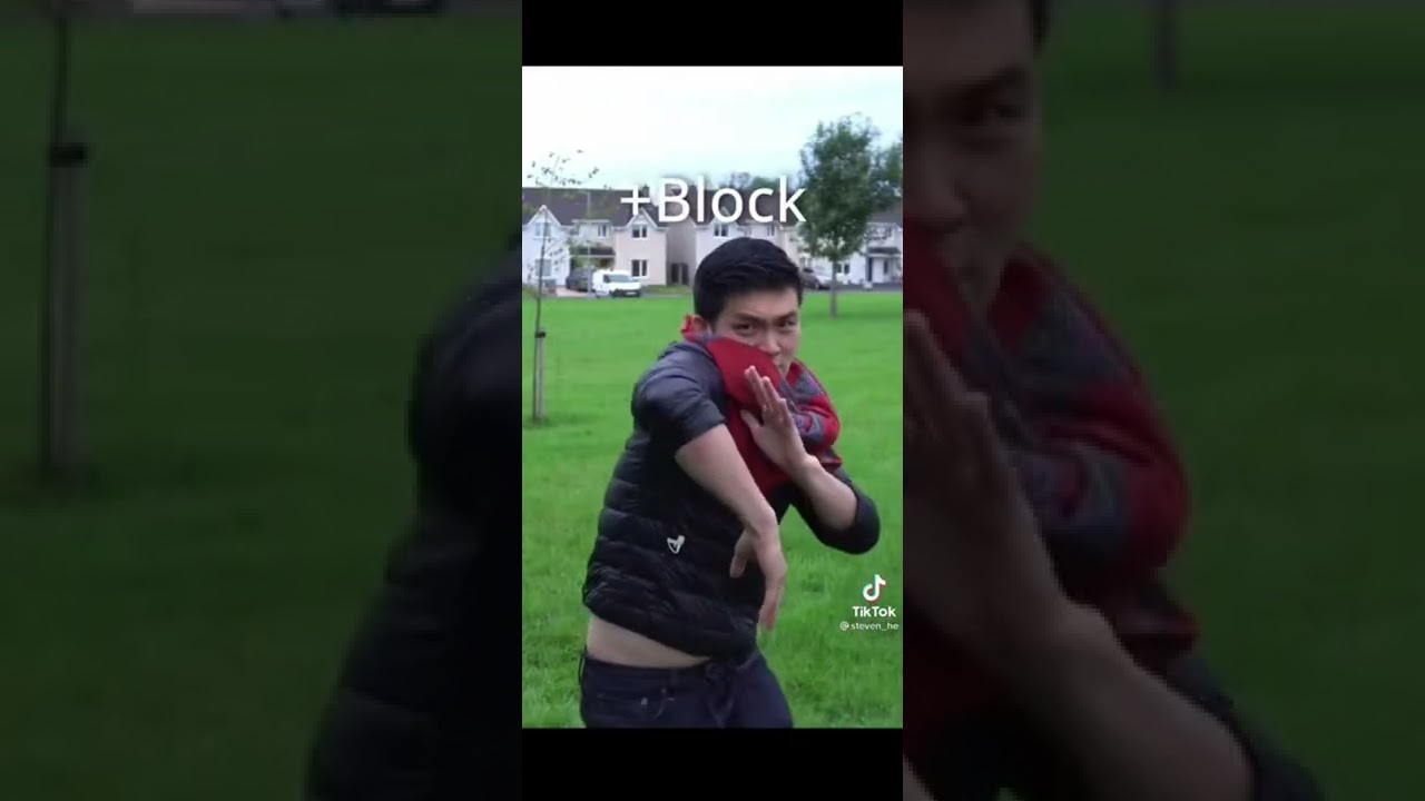 the original video of emotional damage