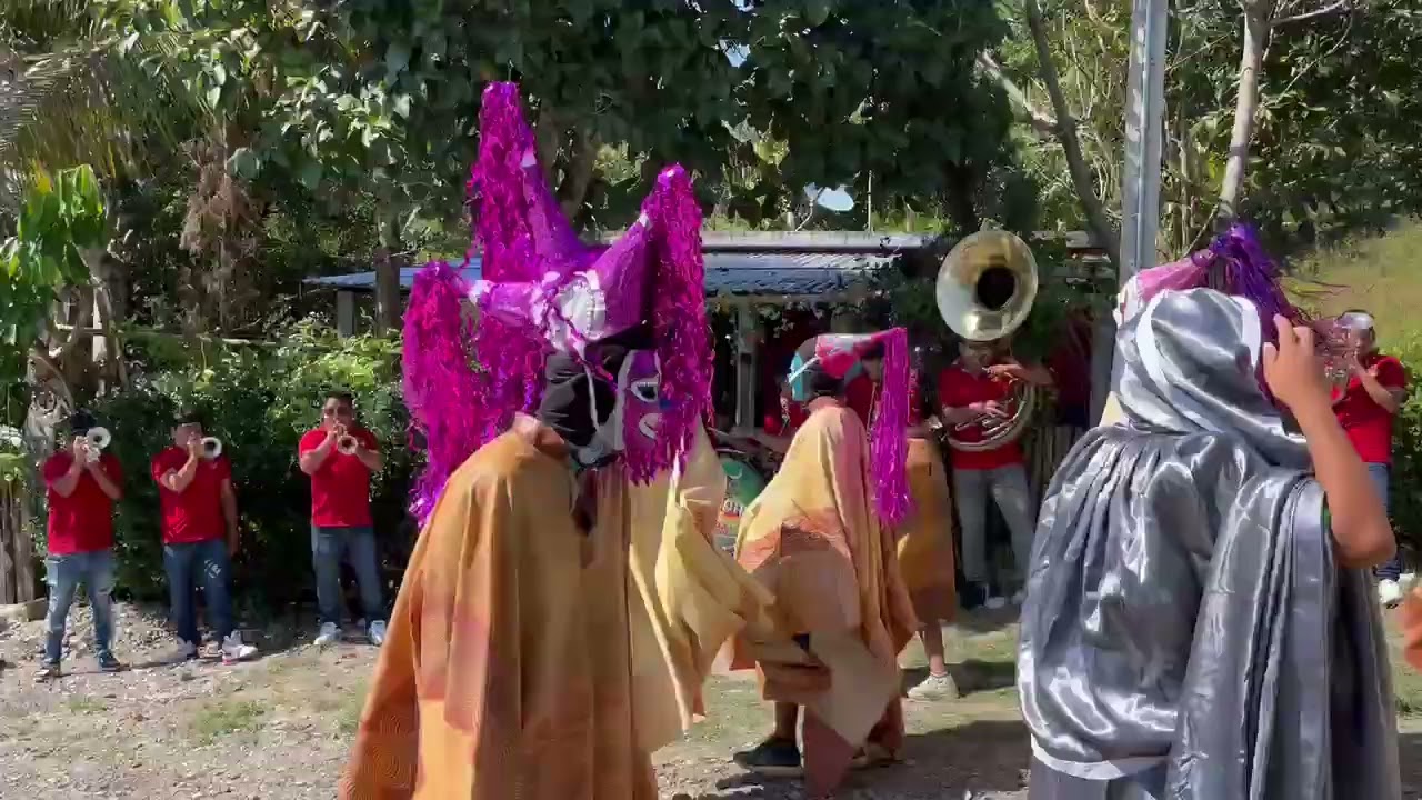Encantadora banda del Rancho 🎺 en carnaval de la reforma Tihuatlán ver.