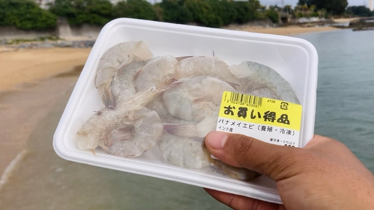 【沖縄釣り】スーパーのエビで“高級魚マクブ”狙ったらまさかの結果に…！