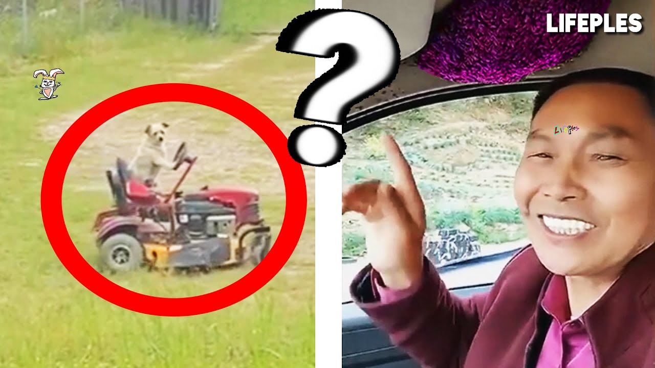 MOST INSANE MOMENTS EVER RECORDED ! *.*