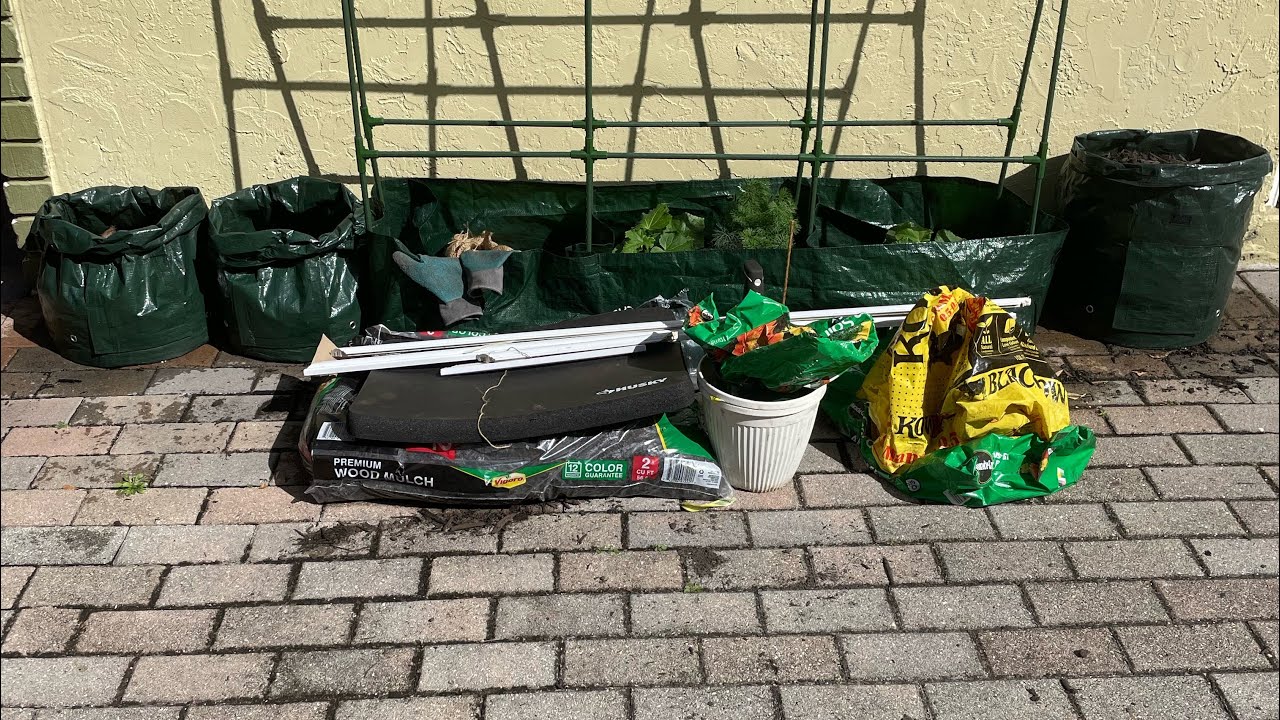 Planting Potatoes using grow bags in my urban backyard garden 🪴