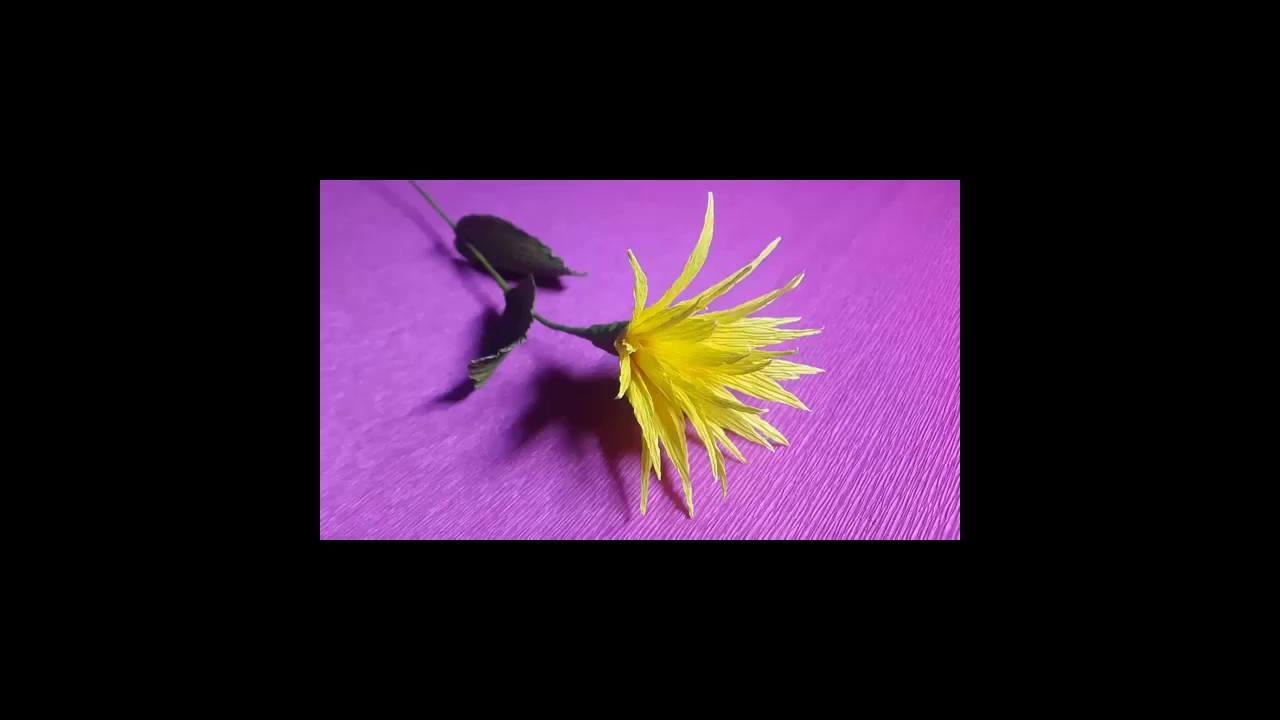 gift flowers