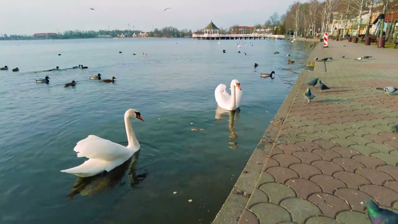 Zapomnij o kuracji w SPA, Ostróda i Jezioro Drwęckie to klucz do relaksu! [4k]