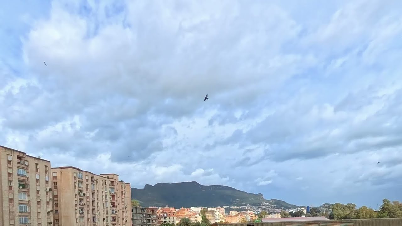 Mont Gouraya -Bejaia 29-01-2026