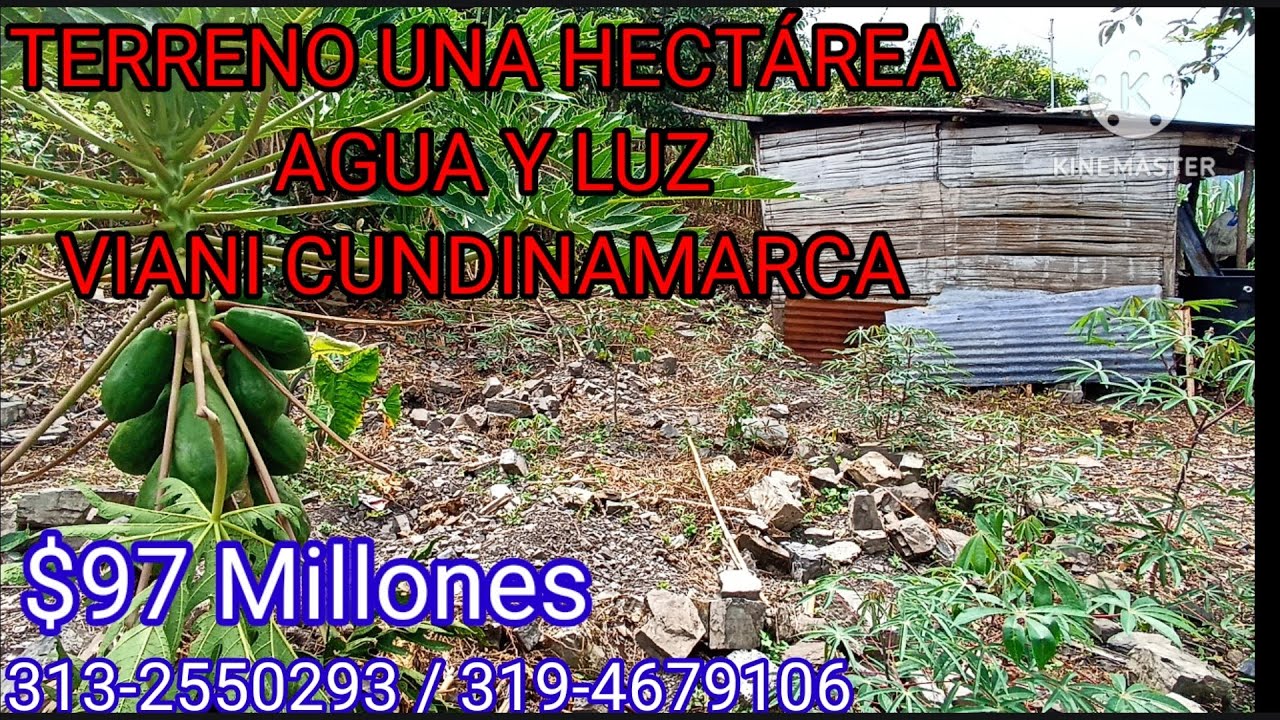 💲 PRECIO $97 Millones.. (TERRENO VIANI UNA HECTÁREA AGUA LUZ) CULTIVOS 3194679106