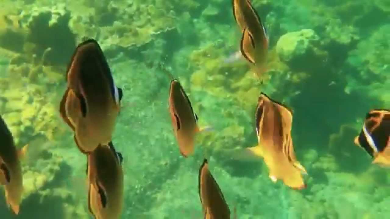 Kapoho tide pools