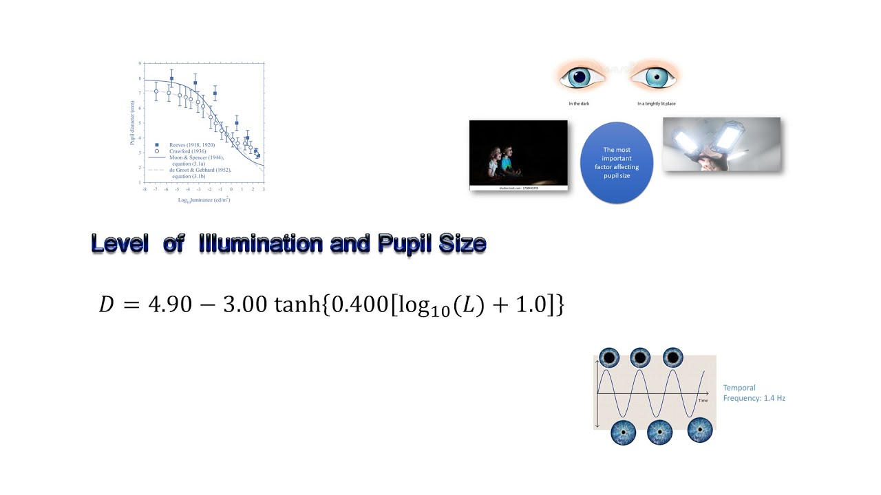 Level  of  Illumination and Pupil Size