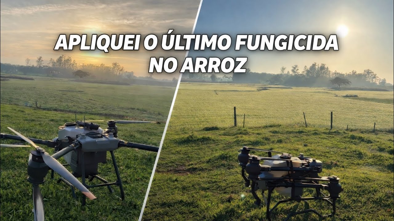 Apliquei ultimo fungicida no arroz !!!