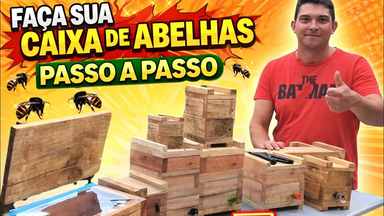 FAÇA VOCÊ MESMO a sua caixa de 🐝 ABELHAS ASF🐝 PASSO A PASSO