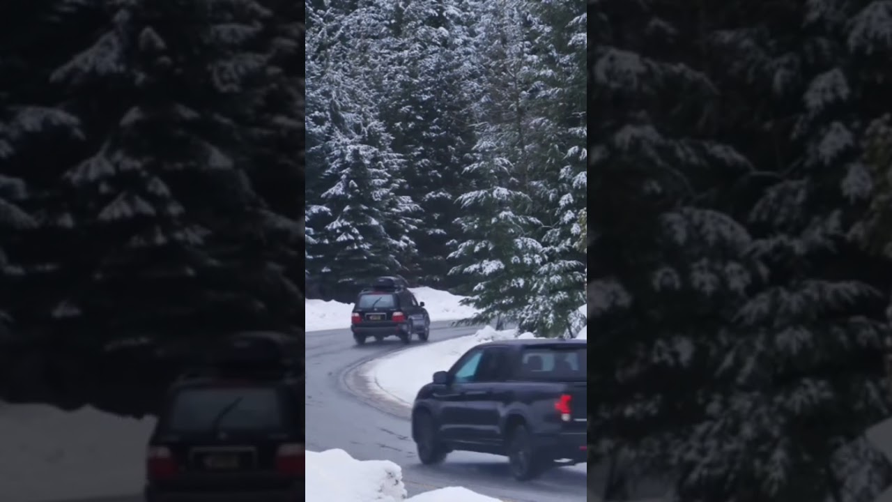 Curve on a Snowy Forest road 