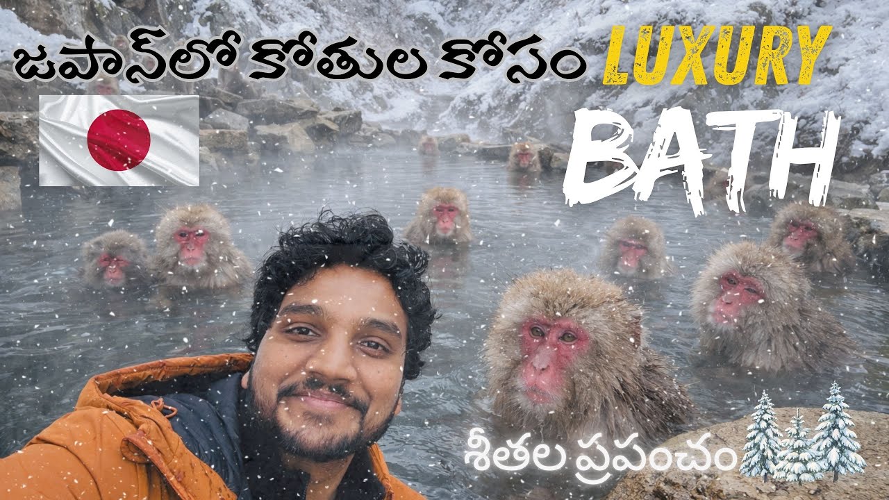 Only in Japan 🐒♨️ Snow Monkey Onsen in Freezing Winter ❄️ | Snow monkey park |  Surya on the shore