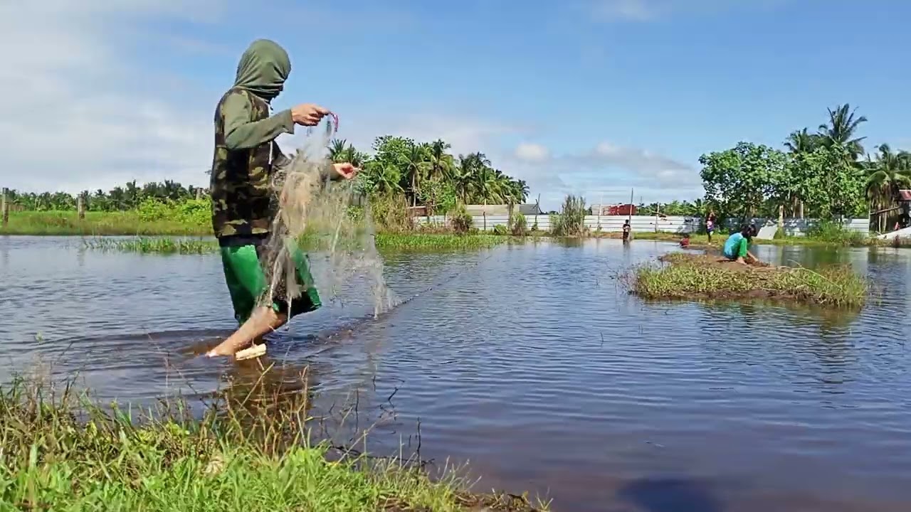 mang lambat po tayu nang tilapia 