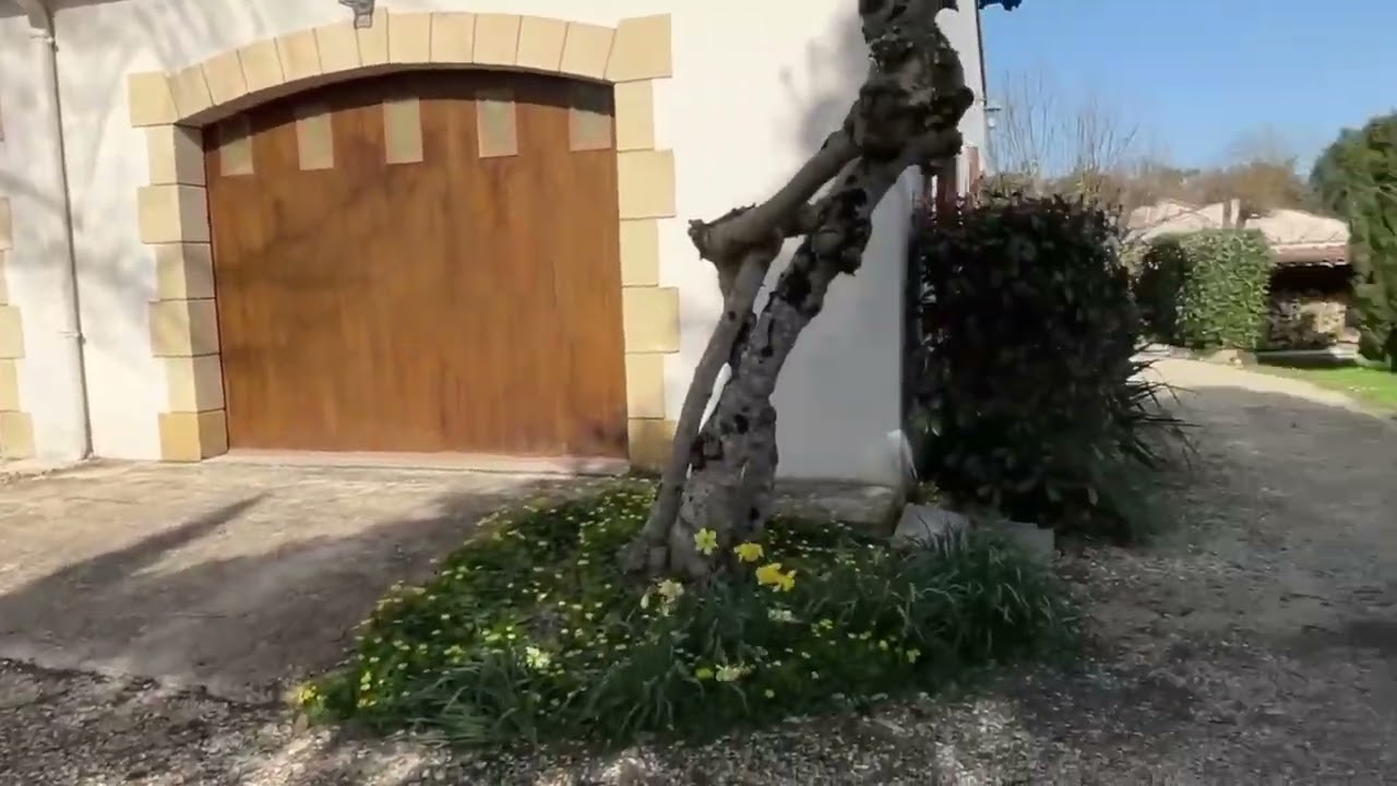 MESCHERS - MAISON FAMILIALE - BEAU JARDIN - PROCHE PLAGE - DEPENDANCES