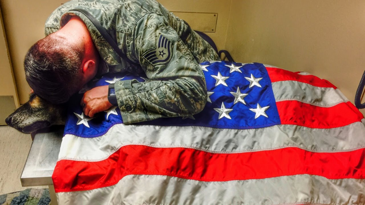 Former Military Dog Draped In American Flag After He Was Put Down