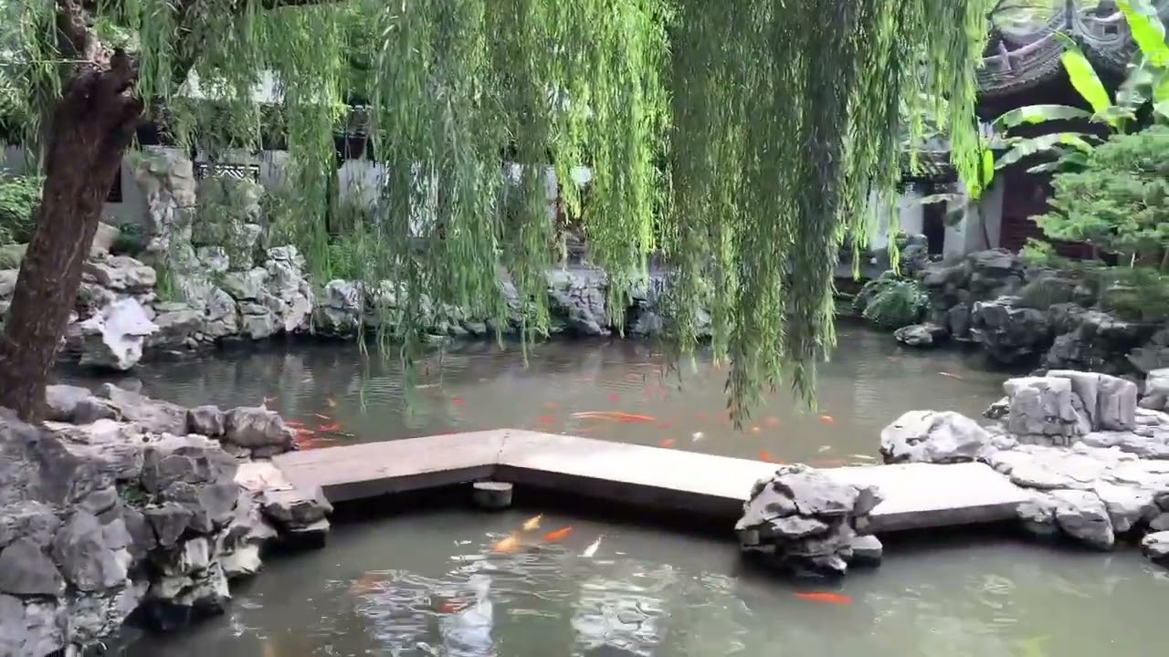 Shanghai 예원(Yu Yuan)   #상하이여행#예원#중국고전정원#상하이명소#YuYuanGarden