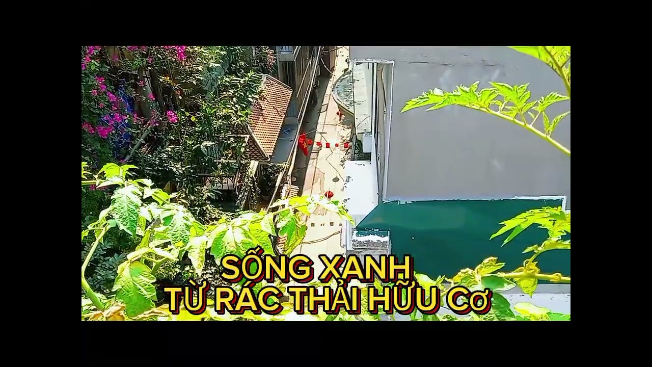 SỐNG XANH TỪ RÁC THẢI HỮU CƠ