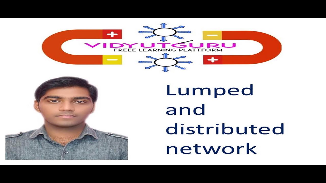 Lumped and distributed network