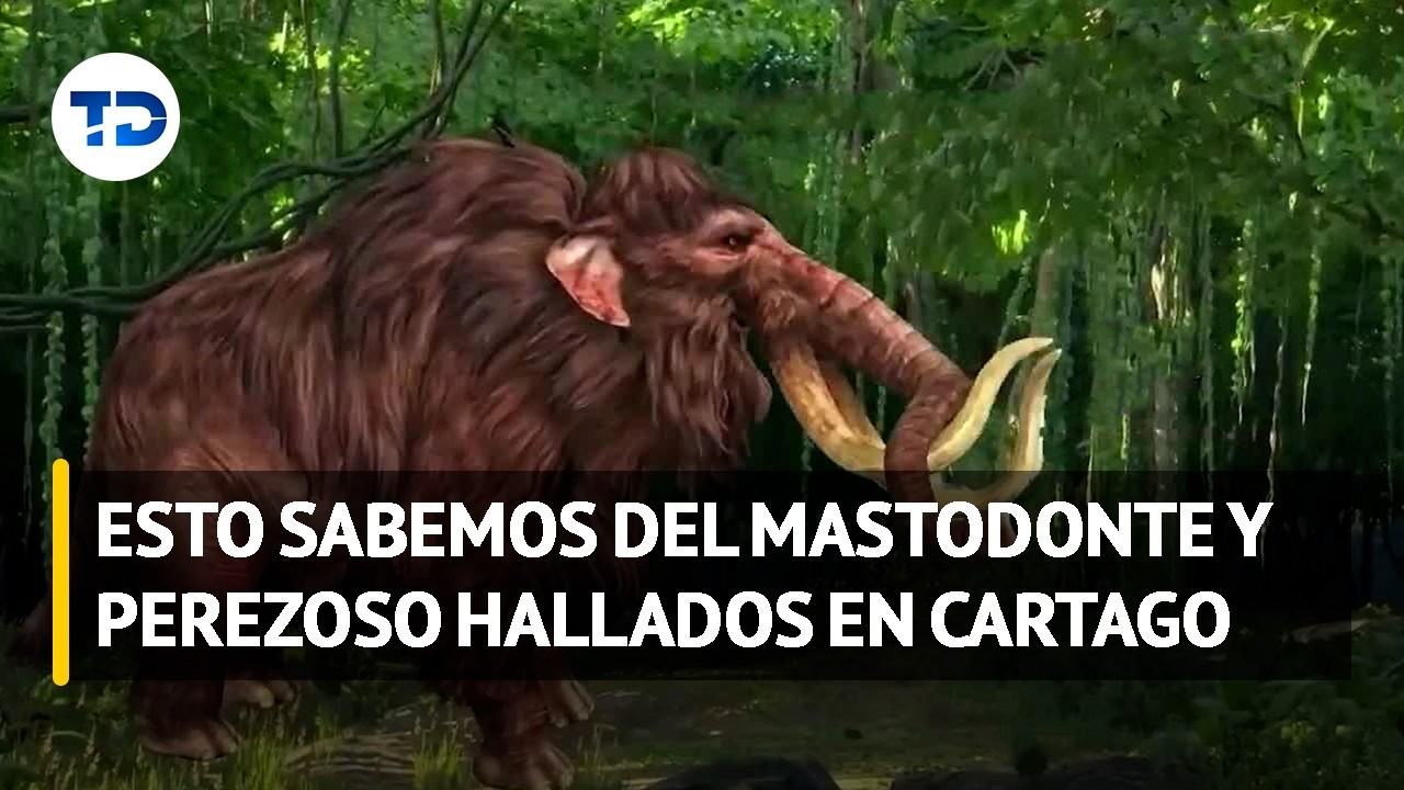 Animales murieron con mil años de diferencia