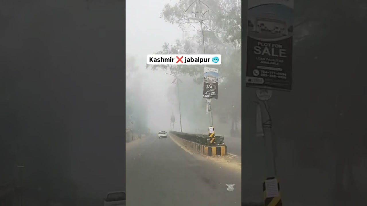 Jabalpur weather in january 🥶#winter #shortvideo #jabalpur #shorts #travel