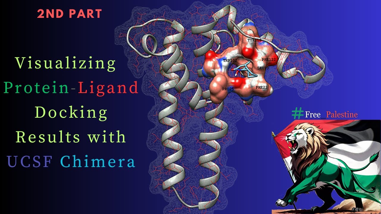 Visualizing Protein-Ligand Docking Results with UCSF Chimera | 2nd Part