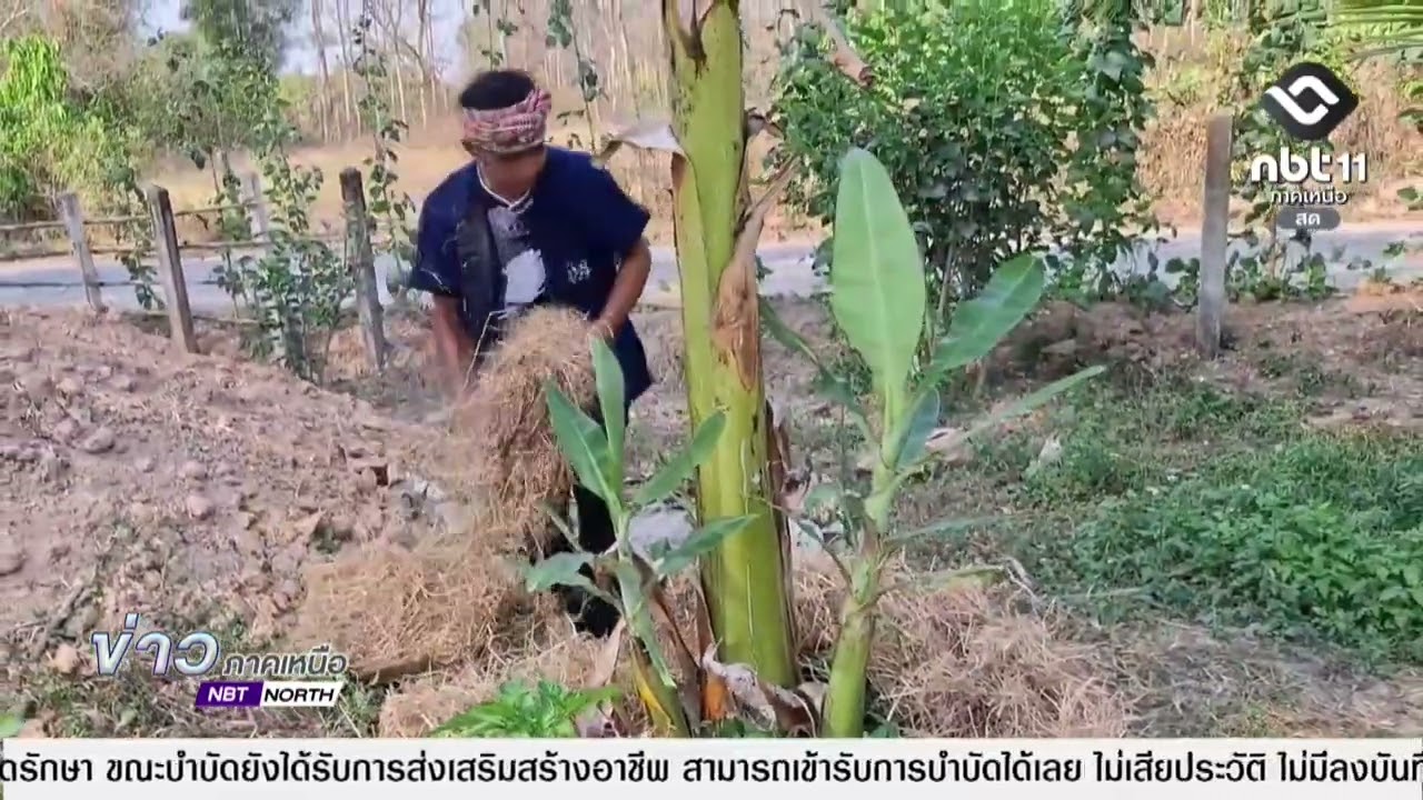 ข่าวภาคเหนือ 14 มีนาคม 2569 น่าน   เกษตรกรร่วมลดเผา ลด PM2 5