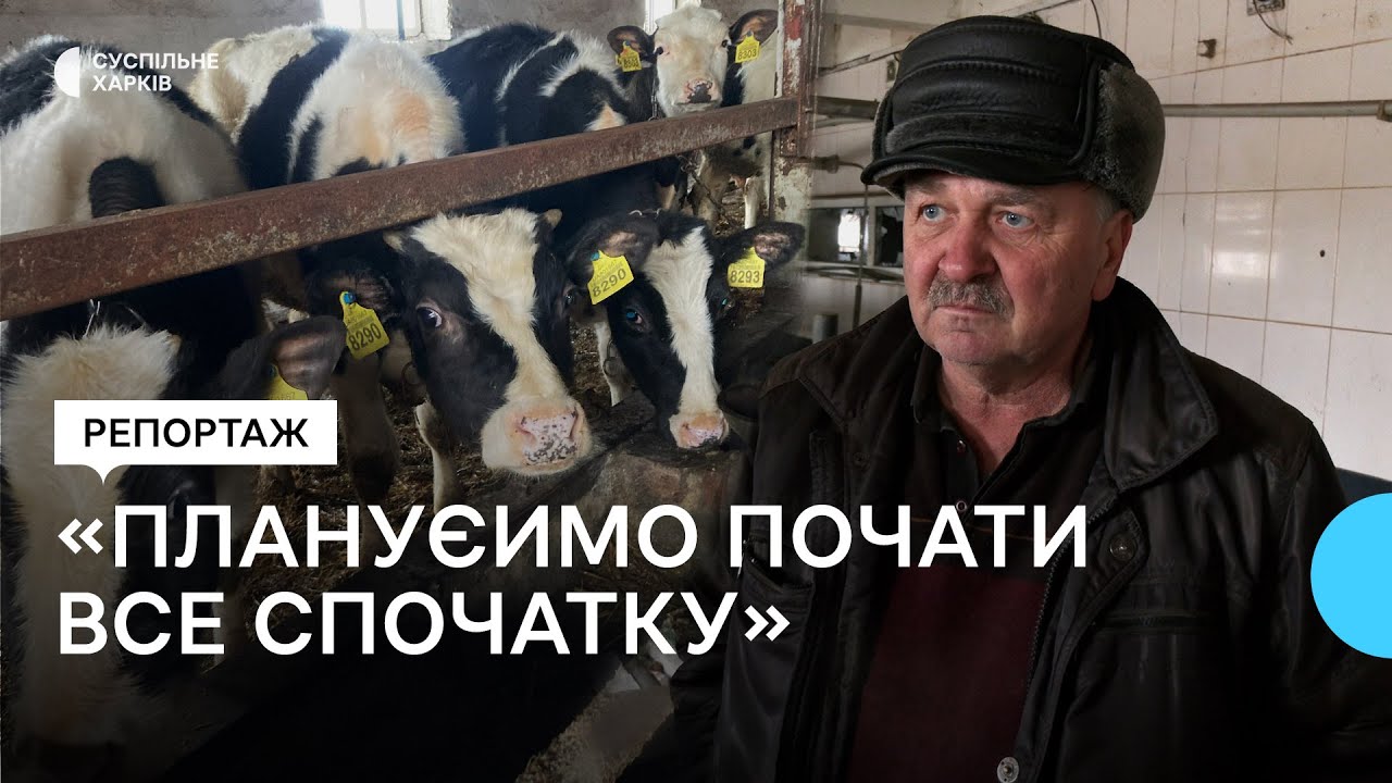 Ферма в деокупованій Гусарівці: як відновлюють господарство