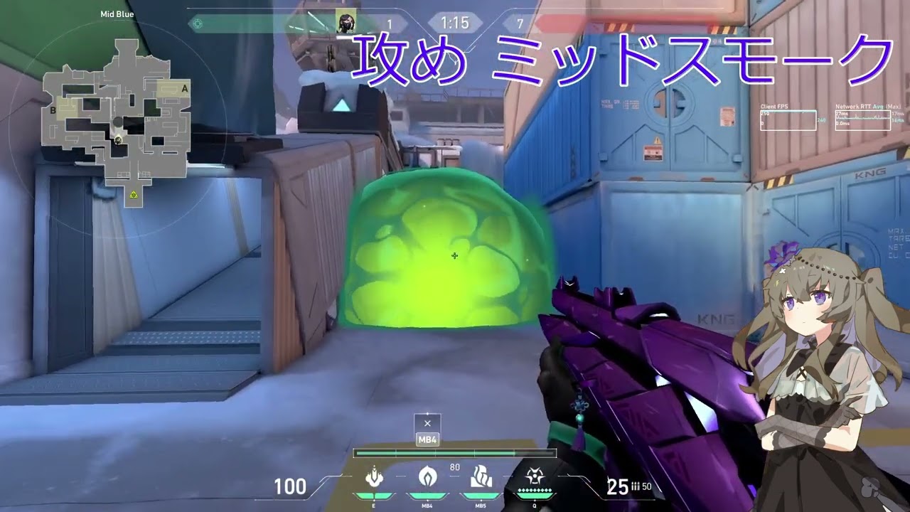 【現役アナリストが教える】アイスボックス ヴァイパー おすすめ定点 必須セットアップ集【VALORANT】