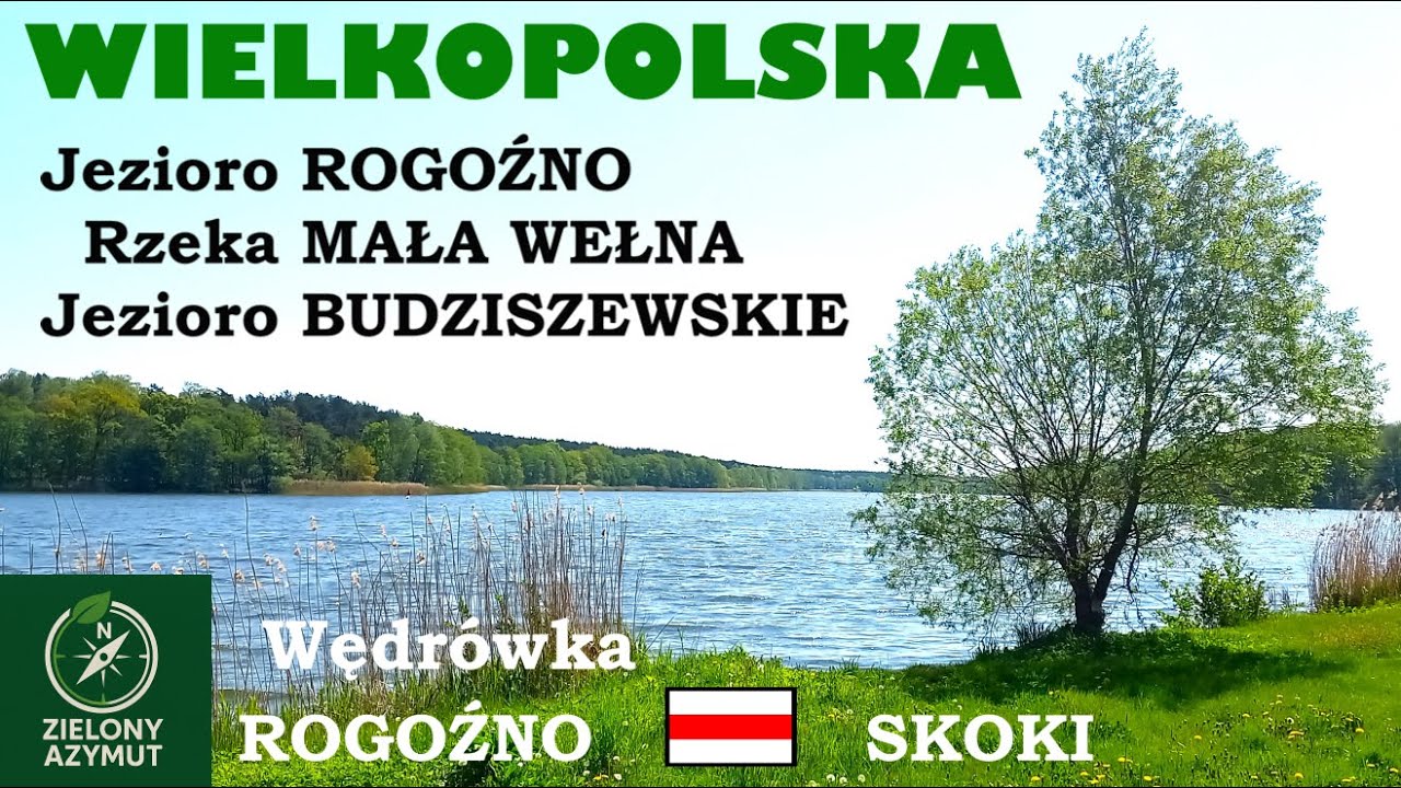 Jezioro ROGOŹNO  Rzeka MAŁA WEŁNA  Jezioro BUDZISZEWSKIE  WIELKOPOLSKA  Szlak czerwony ROGOŹNO-SKOKI