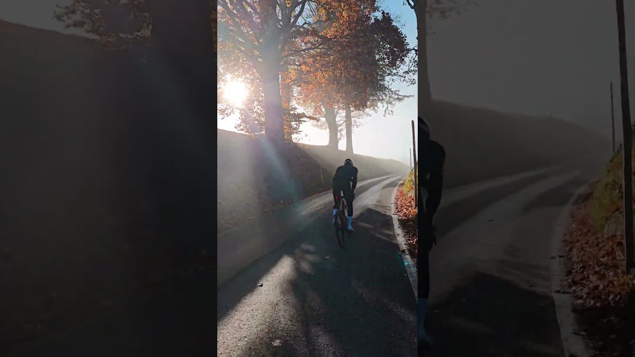 if someone needs some extra motivation to go cycling when it's foggy. take this. #cycling #autumn