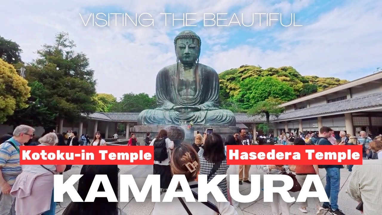[4K HDR] Exploring The Famous Temple In Kamakura, Japan | Kotoku-in Temple | Hasedera Temple