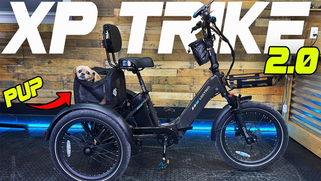 Take Your Dog With You On The Lectric XP Trike 2.0 / Full Review