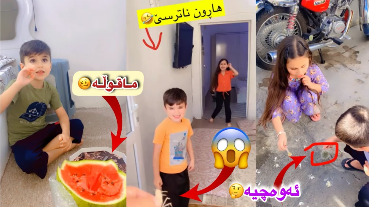 هاڕون لە کوللە ناترسێ🦗😎🤣