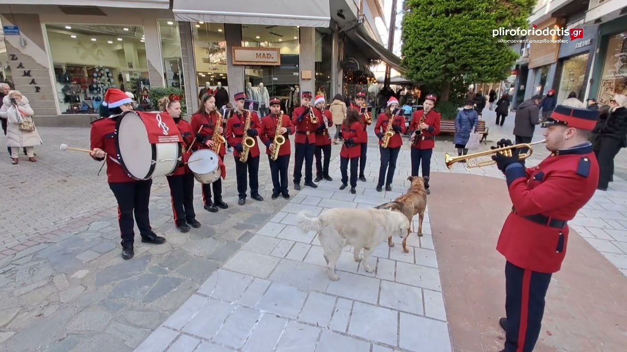 Φιλαρμονική Ορχήστρα Βέροιας 