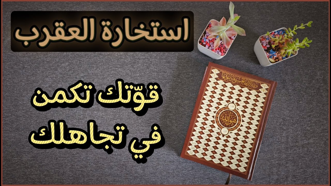 استخارة عامّة بالقرآن الكريم لمواليد برج العقرب نتحدث فيها في كافة مجالات الحياة