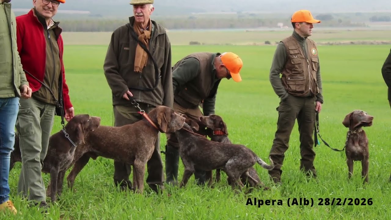 Monografica de trabajo. Alpera(Alb)28/2/2026