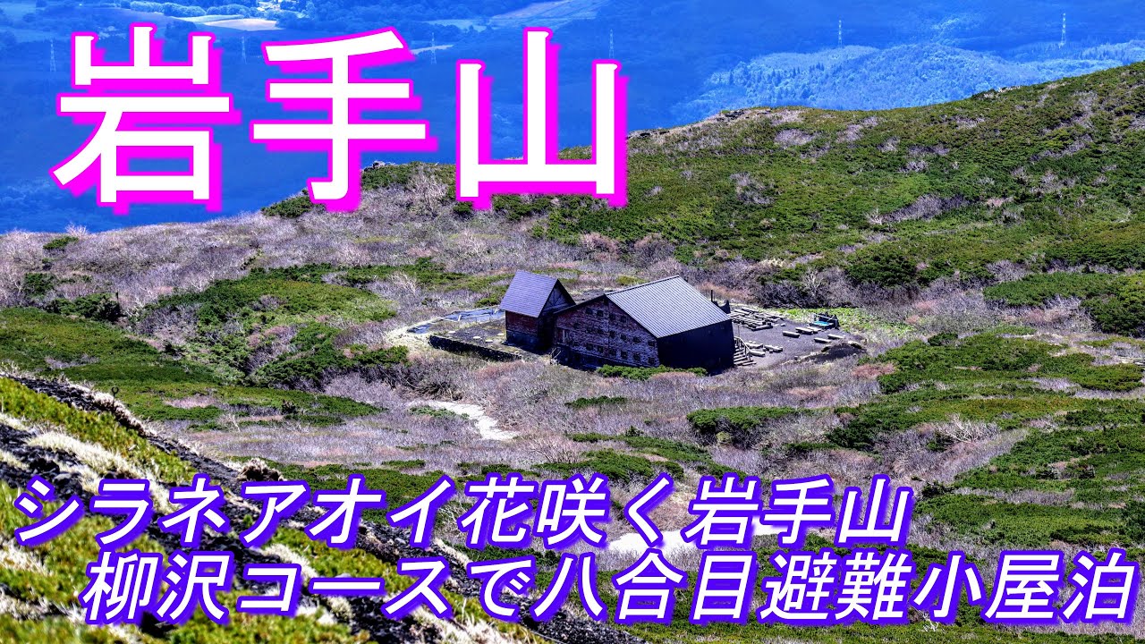 シラネアオイ花咲く岩手山へ柳沢コースで八合目避難小屋泊　ArtlistBGMで登山動画　Google Earth Proの地図でわかりやすい登山道案内、動画と写真で百名山の山座同定を