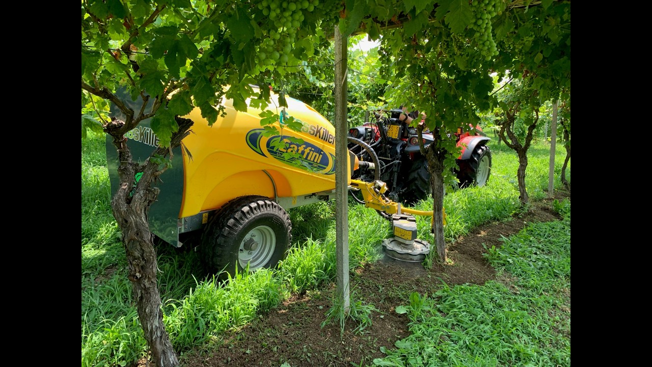 Grasskiller: i risultati 3 giorni dopo