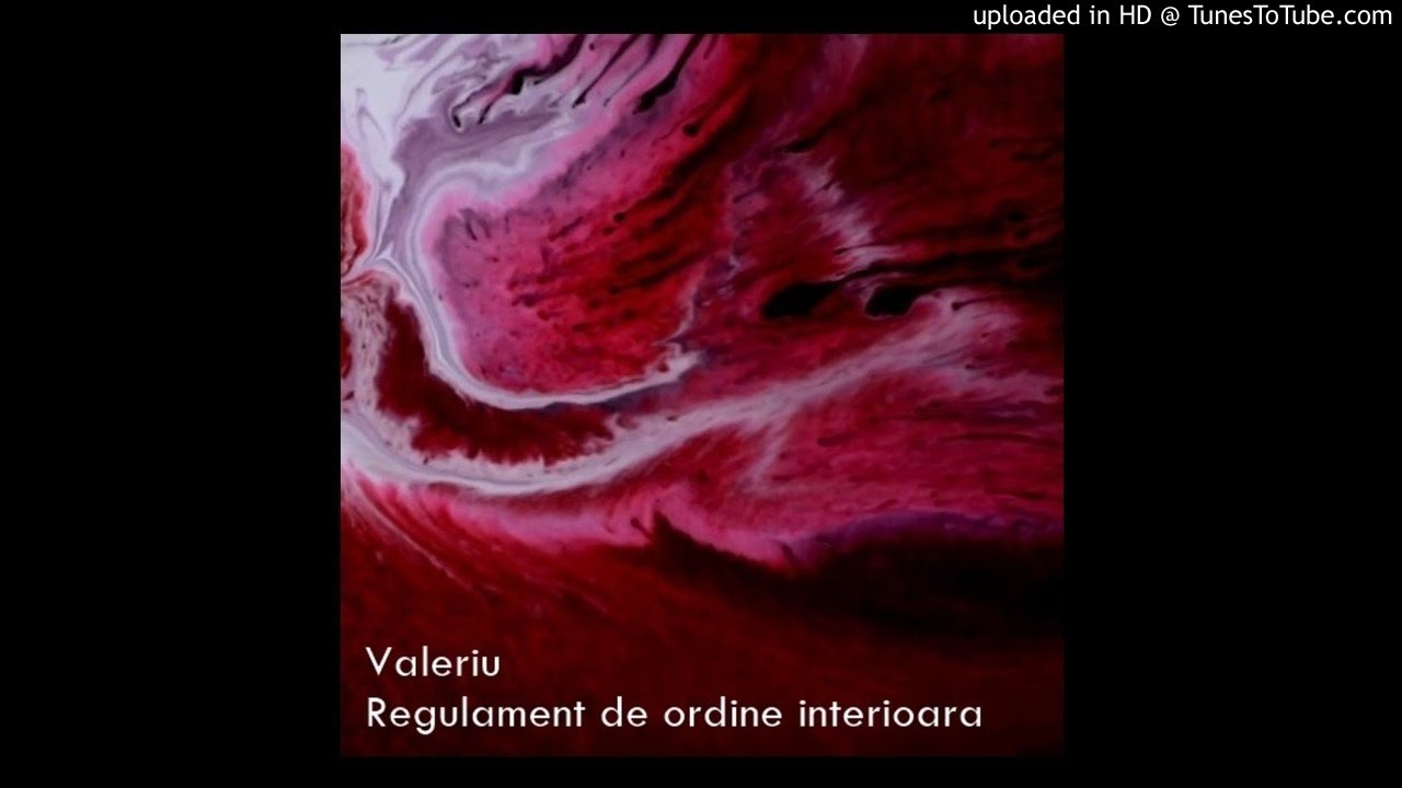 Valeriu - Regulament de ordine interioara