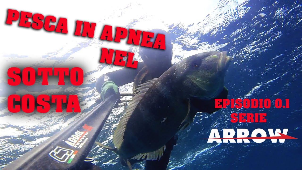 Pesca in apnea nel sotto costa [ Michele Giurgola ]